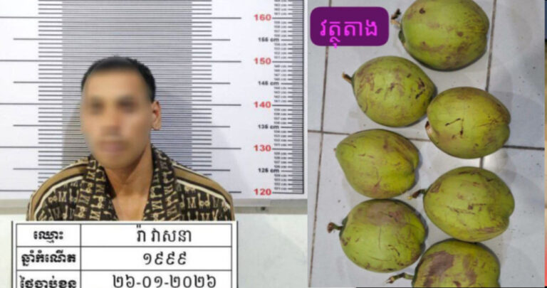 បុរសម្នាក់លួចបេះដូង០៧ផ្លែ ម្ចាស់ចម្ការឃើញទាន់ឃាត់ខ្លួនប្រគល់ឲ្យសមត្ថកិច្ច